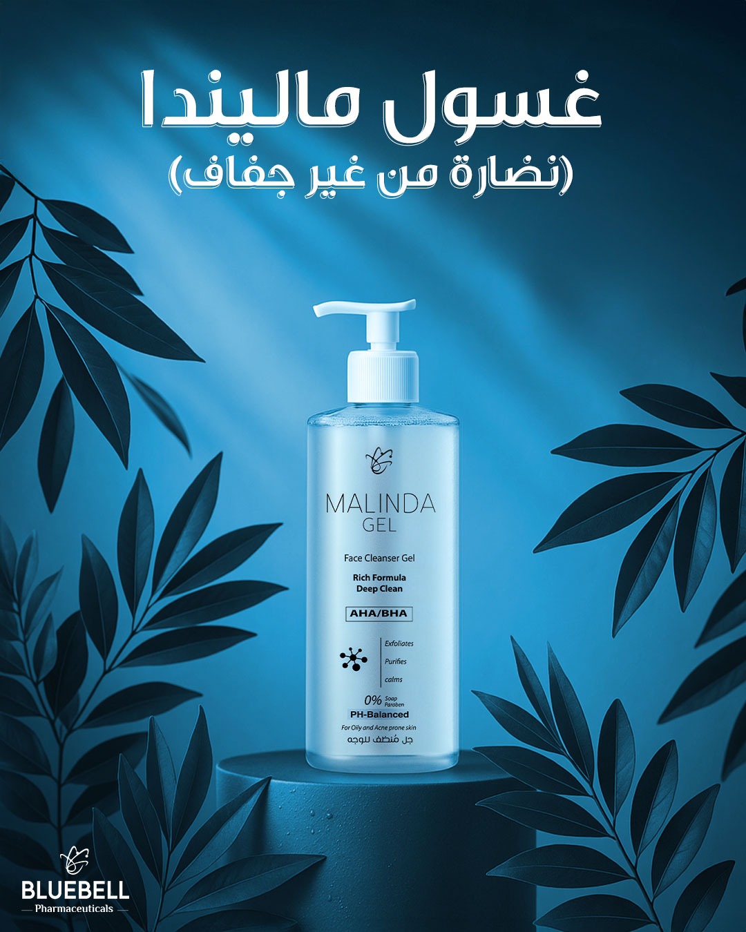 499525097_727177592990056_2973846858171388254_n