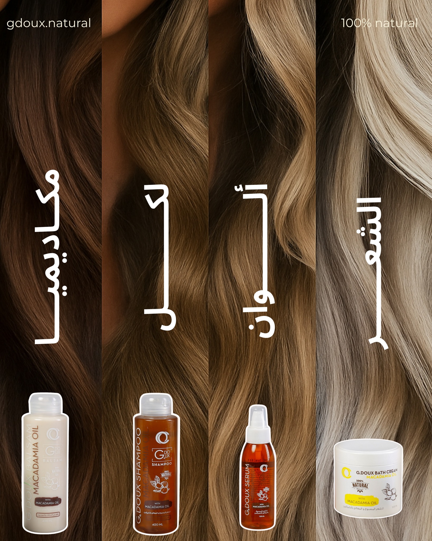 515050897_1059690186298806_7629689987861712474_n مجموعة ميكاديميا من جي دوكس